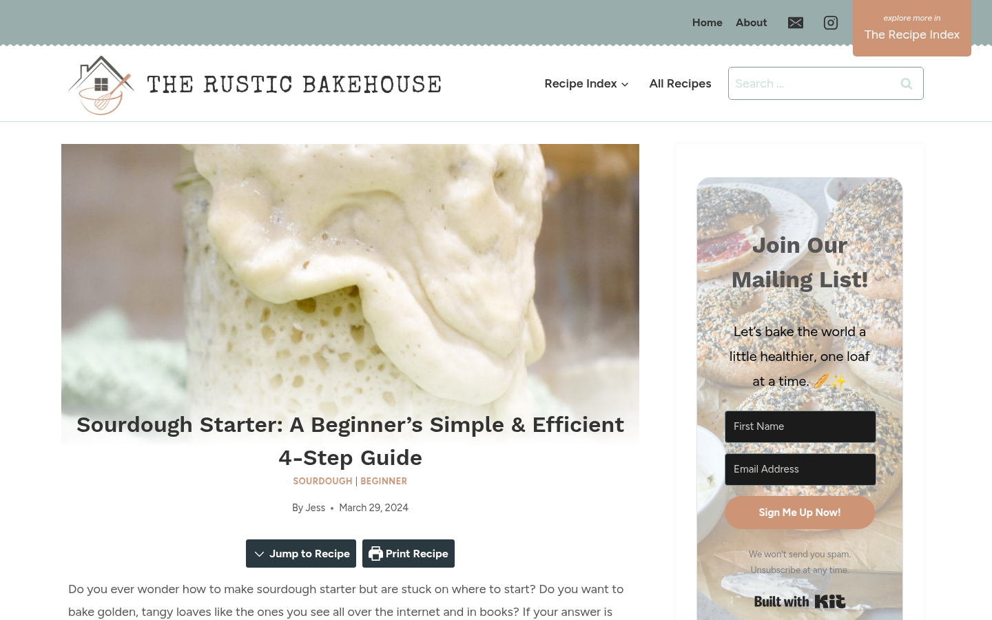 Beginner guide article: bubbly sourdough starter hero photo with the H1 'Sourdough Starter: A Beginner's Simple & Efficient 4-Step Guide'.